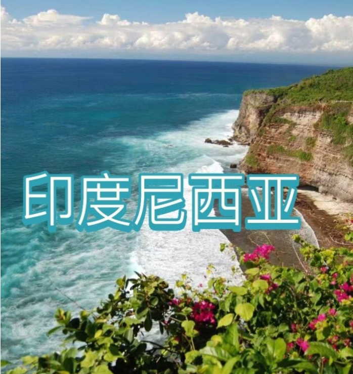 中国国际电商(印尼)产业博览会冰球突破豪华版手机版2025(图1)