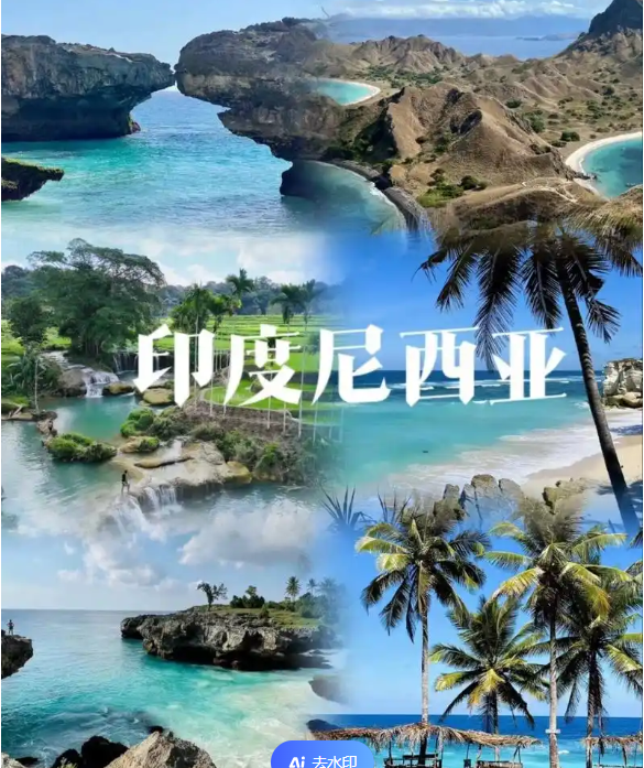 中国国际电商(印尼)产业博览会冰球突破豪华版手机版2025(图2)