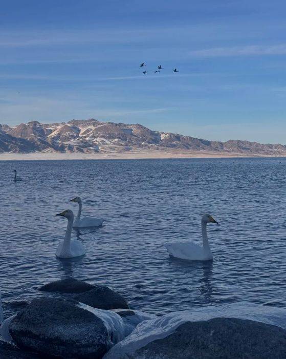 胜游领衔2025新疆高信誉旅行社TOP1